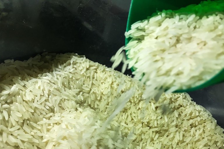 Pelo Estado 27/06: Novo leilão de arroz preocupa produtores locais